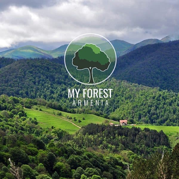 myforest-wallpaper