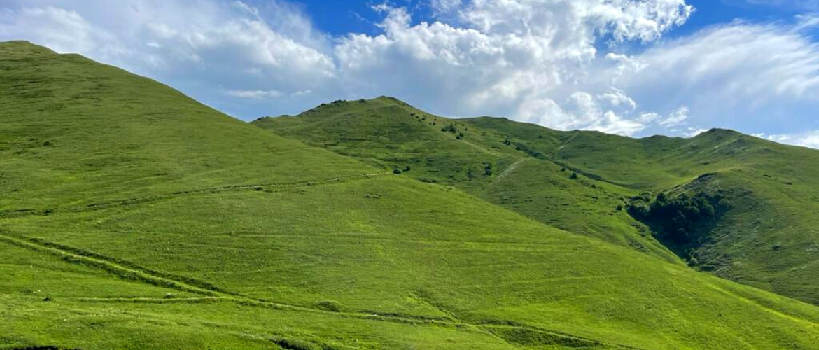 BIENTÔT: 150 HA DE NOUVELLE FORÊT