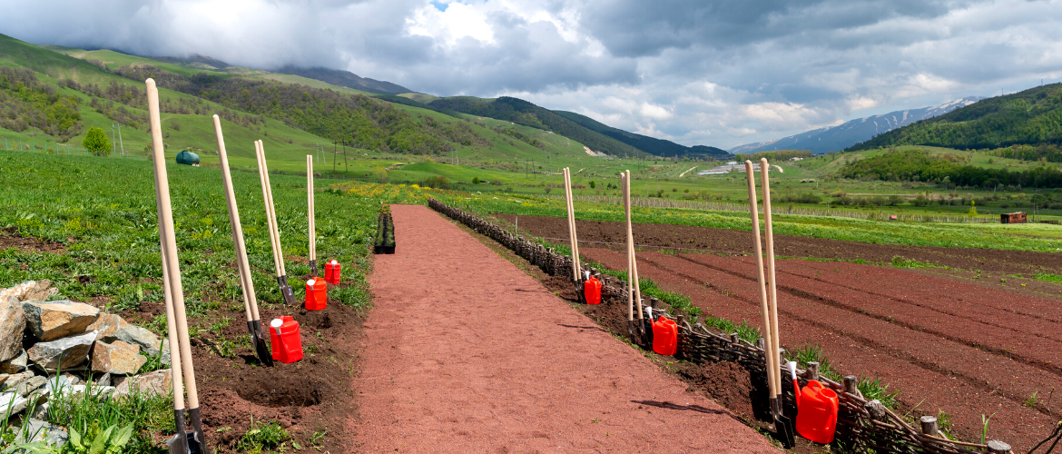 FIRST HONORARY TREES PLANTED IN “GUESTS’ PATHWAY”