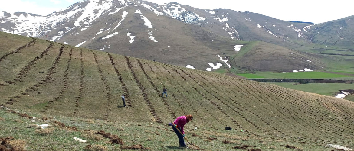 PLANTATION DE PRINTEMPS 2022 TERMINÉE