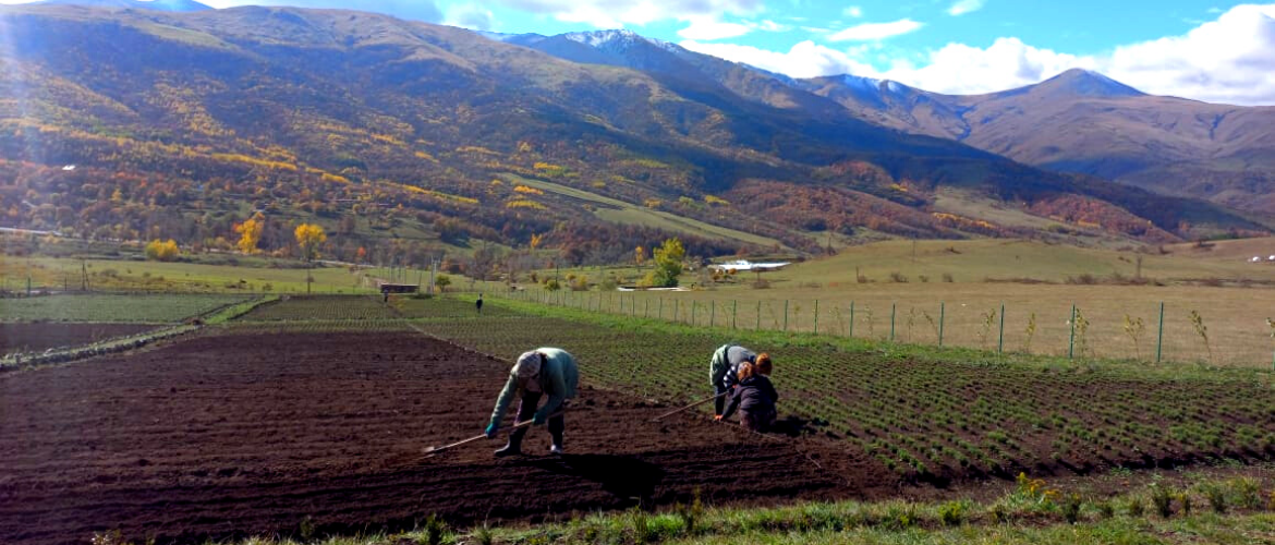 SOWING SEEDS IN THE NURSERIES – DONE!