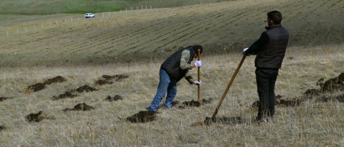 spring planting is completed