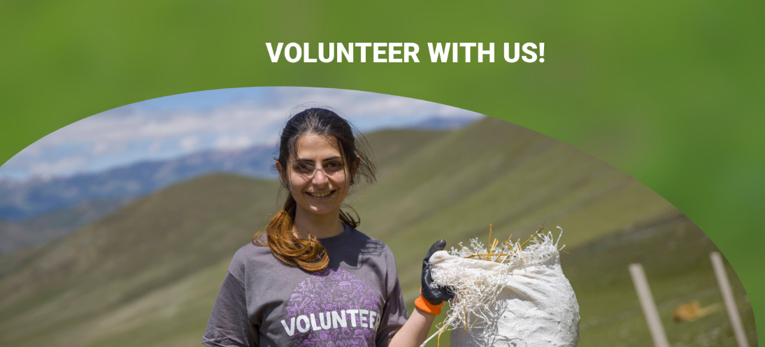 volunteering in armenia