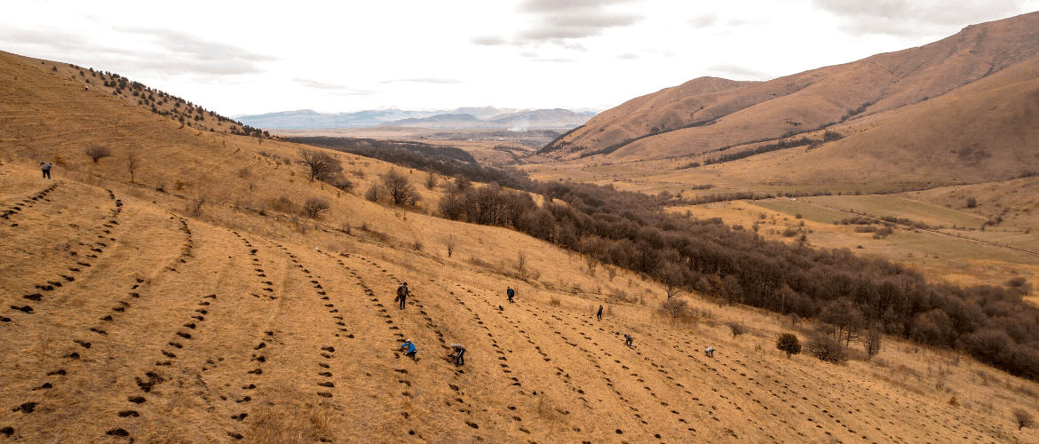 գարնանային ծառատունկ 2023։ Իմ անտառ Հայաստան