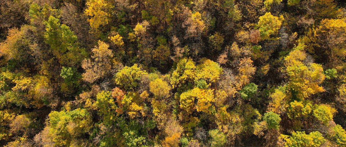 STARTING FALL PLANTING 2022