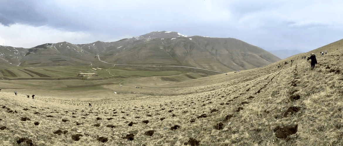 ԳԱՐՆԱՆԱՅԻՆ ԱՆՏԱՌՏՆԿՈՒՄ 2022-Ը ՄԵԿՆԱՐԿԵՑ