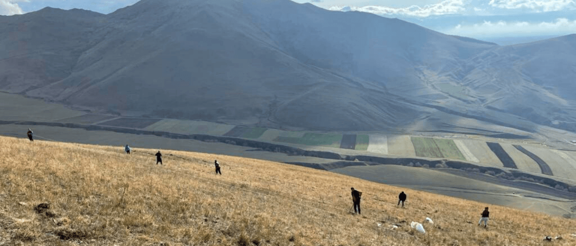 AUTUMN TREE PLANTING IS OVER