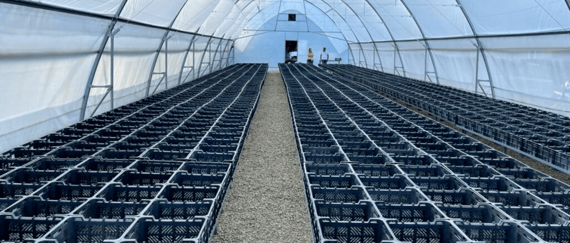 OUR FIRST GREENHOUSE