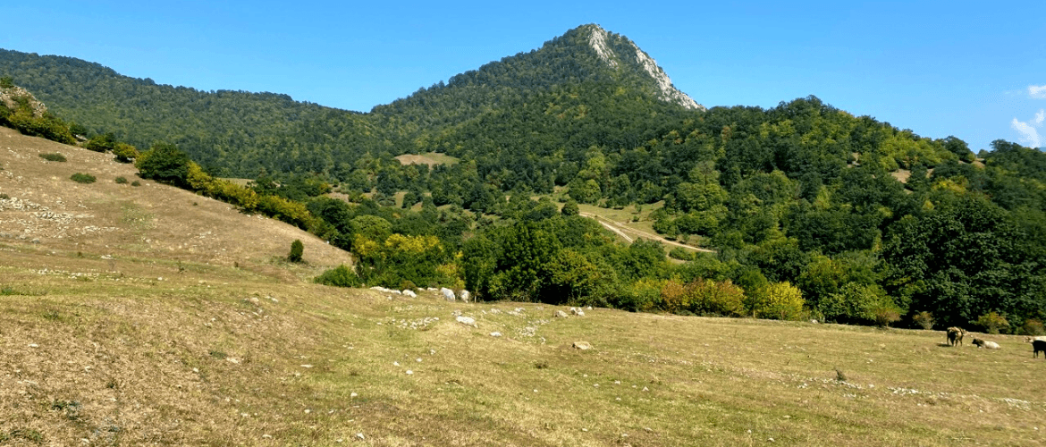 NEW PROJECTS, NEW PERSPECTIVES