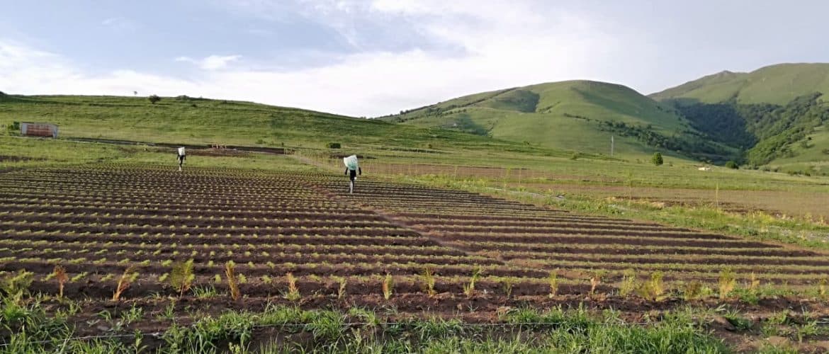 structural improvements featured image