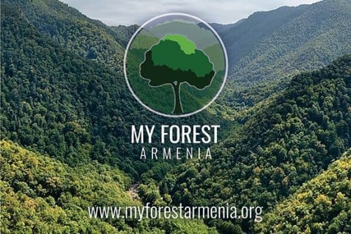 MY FOREST ARMENIA OFFICIALLY LAUNCHES IN YEREVAN