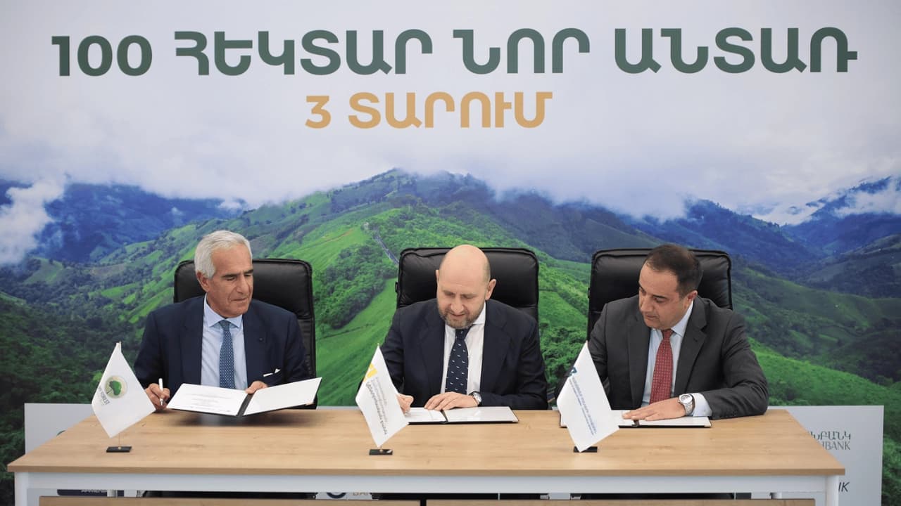 Central Bank of Armenia and Banks Join Forces with My Forest Armenia to Plant 100 Hectares of New Forest