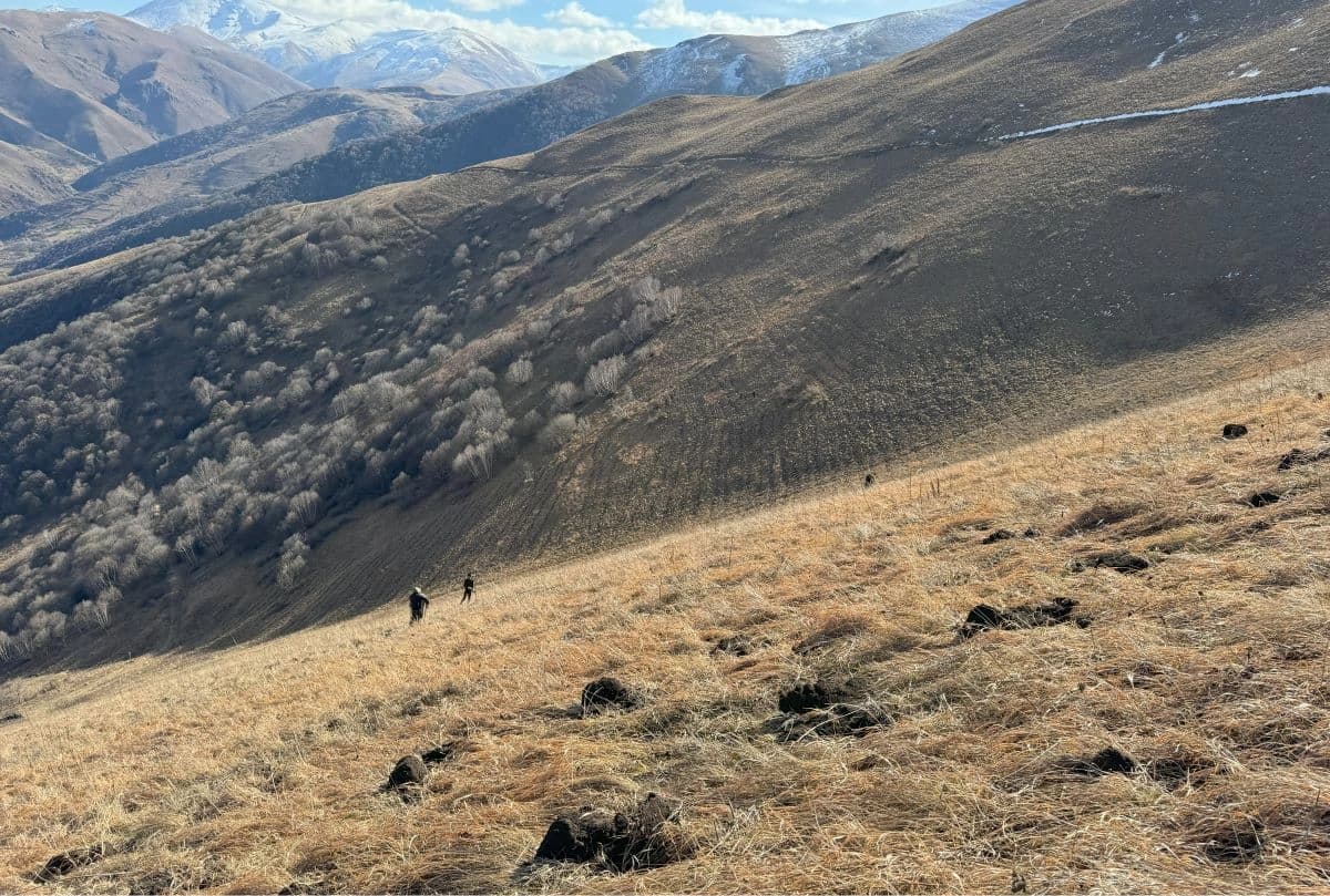 աշնանային անտառատնկումն ավարտված էMy Forest Armenia