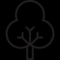 Reforestation sites